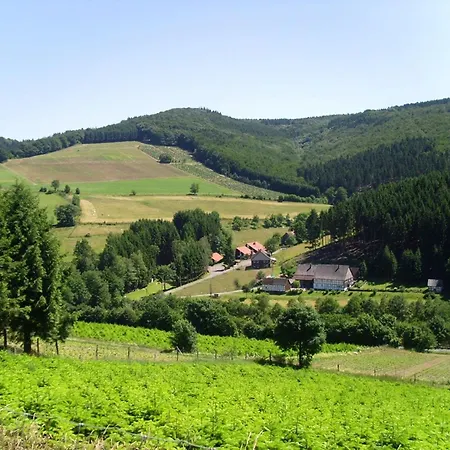 Charming Near The Area *