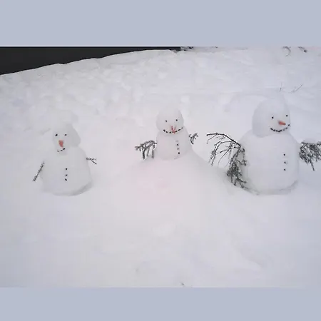 Charmantes In Skigebietsnaehe שמאלנברג