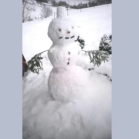 בית נופש Charmantes In Skigebietsnaehe
