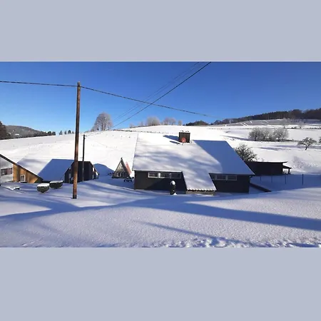 Charmantes In Skigebietsnaehe בית נופש