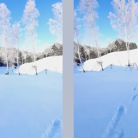 בית נופש Charmantes In Skigebietsnaehe שמאלנברג