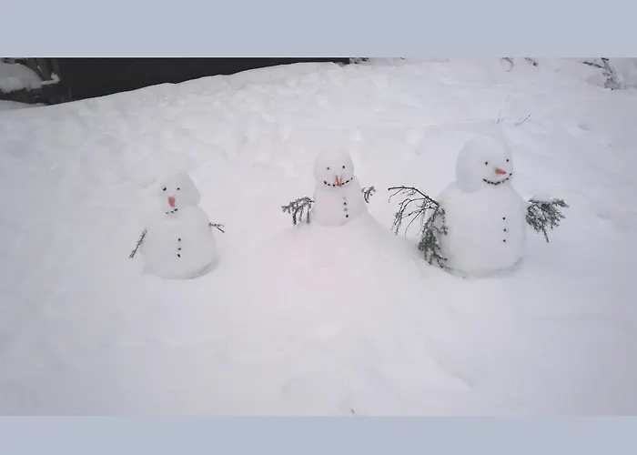 Charmantes In Skigebietsnaehe Schmallenberg
