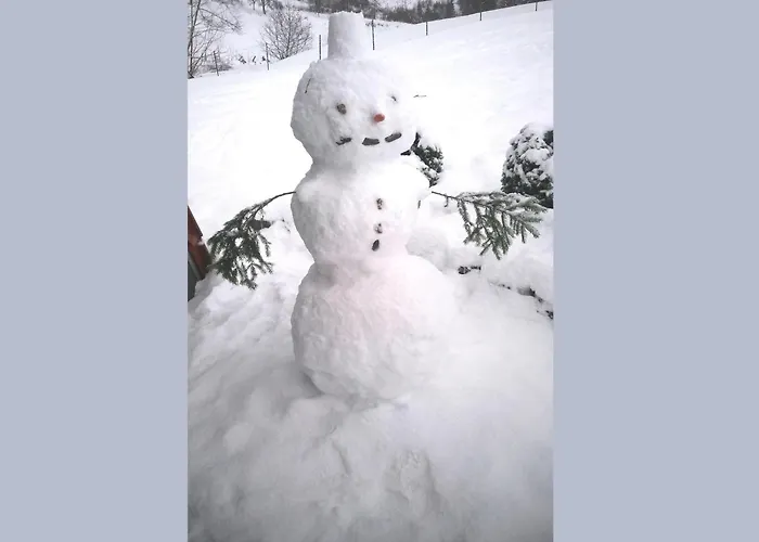 Hébergement de vacances Charmantes In Skigebietsnaehe