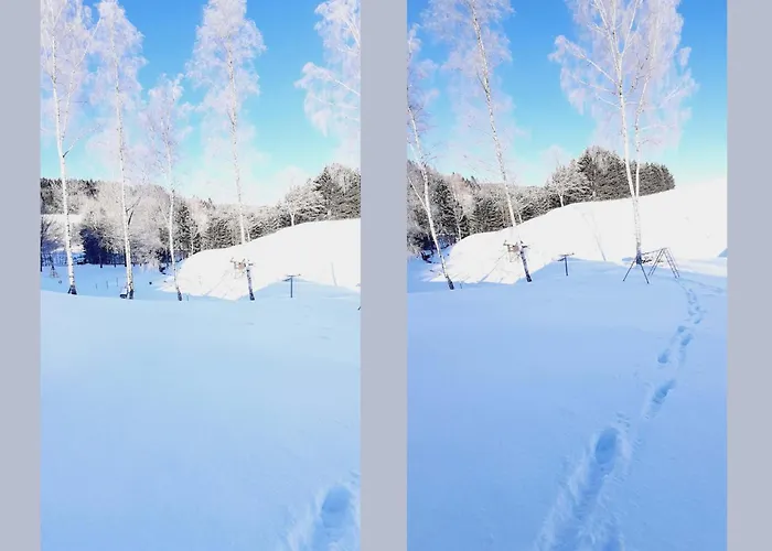 Casa vacanze Charmantes In Skigebietsnaehe Schmallenberg